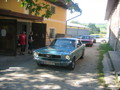 Pony Cars (Muscle Cars) 34196071