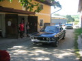 Pony Cars (Muscle Cars) 34196087