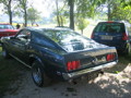 Pony Cars (Muscle Cars) 34196103