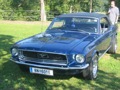 Pony Cars (Muscle Cars) 34196987