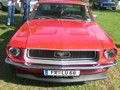 Pony Cars (Muscle Cars) 34197047