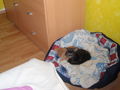 ♥Kiara & Simba♥ 64506505