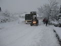 Steyr768 und 13to Bus 55830520