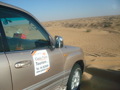 Desert Safari  33653269