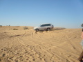 Desert Safari  33653334