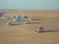 Desert Safari  33653542