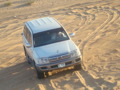 Desert Safari  33653621