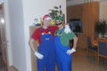Super Mario & Luigi on Tour 55510740