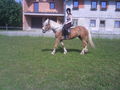 °°I auf da juLiia ian Pferd=) sau..qeiL. 39072486