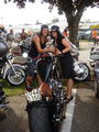 Harley-Treffen 2008 44962053