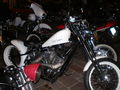 Harley Treffen 2009 67231531