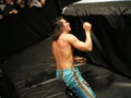 "WWE, RAW" Wiener Stadthalle 08 37300052