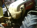 a gscheita traktor 75704352