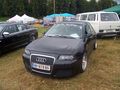 VW - Audi Treffen  Waldhausen 43836309