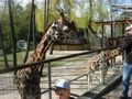 Zoo Schmiding 36783171