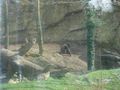 Zoo Schmiding 36783313