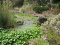 Gran Canaria 2008 43168283