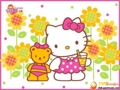 hello kitty 34853717