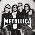 metallica 73100639