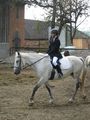 pferde/Reiten  39135186