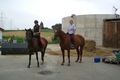 reiten 2009 64915004