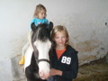 my horses 35168369