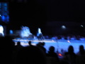 ApPasiionaTa 2008 35192051