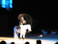 ApPasiionaTa 2008 35192070