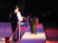 ApPasiionaTa 2008 35192074