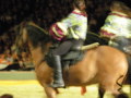 ApPasiionaTa 2008 35192109