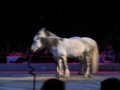 ApPasiionaTa 2008 35192201