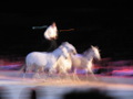 ApPasiionaTa 2008 35192235