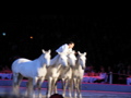 ApPasiionaTa 2008 35192251