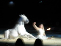 ApPasiionaTa 2008 35192256
