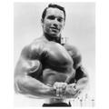 Arnold Schwarzenegger 35092968