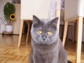 MeInE kAtZen 35165331