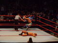 Wrestlemania Revange Tour 08 in Linz 36873873