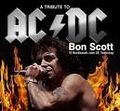 AC/DC     what else? 60070730