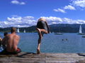 Sommer 2008 Attersee 49093753