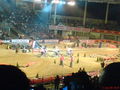 Night of the Jumps (Intersport Arena) 45425868