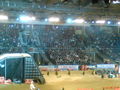 Night of the Jumps (Intersport Arena) 45425885