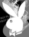 playboy 40976973