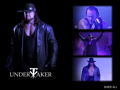 The Undertaker (The Deadman) 35242291