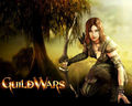 Guild Wars 39014277