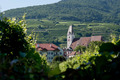 Wachau 75961044