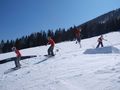 skiing 57400135