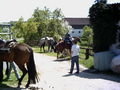 WANDERREITEN P-R RANCH 08 38063198