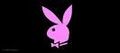 PlayboybunnY`s 37591654