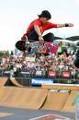 rodney mullen und ryan sheckler 35541494