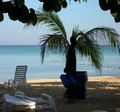 Urlaub Jamaica 38216508